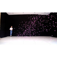 Pink oder Blue Picture Perfect offenbaren Geschlecht Reveal Confetti Shooter